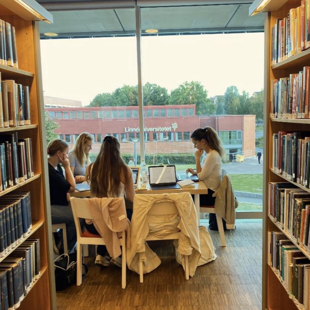 7 Salas de Estudio donde Estudiar Incluso los Fines de Semana